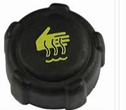 Expansion Tank CAP